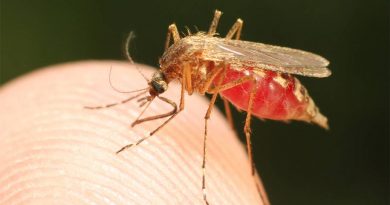 Bloquear a transmissão da malária