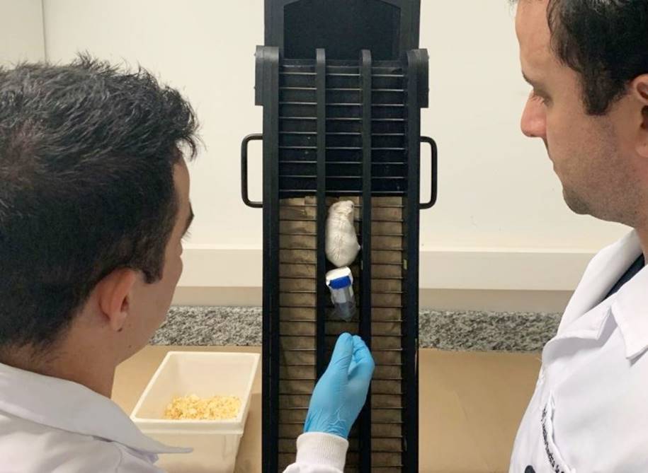 Controlar a diabetes - Estudos em ratos