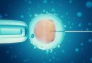 Crianças geradas pela fertilização in vitro podem ter mais risco de câncer