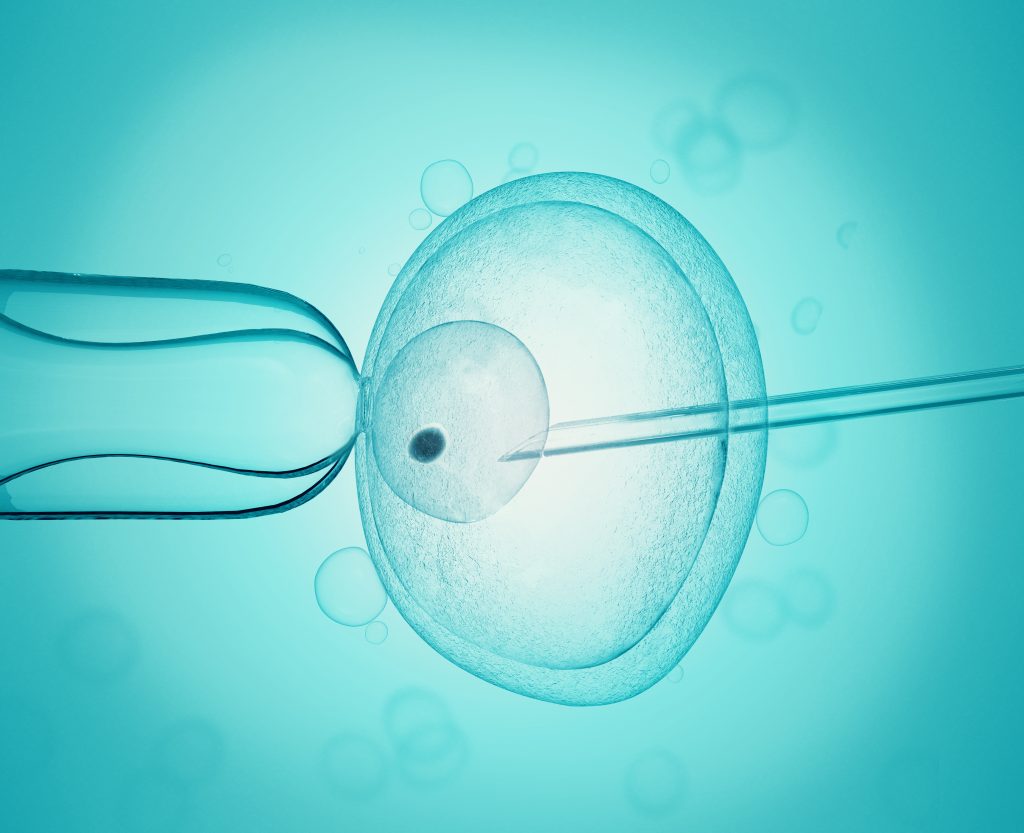 Crianças Geradas Pela Fertilização In Vitro Podem Ter Mais Risco De Câncer